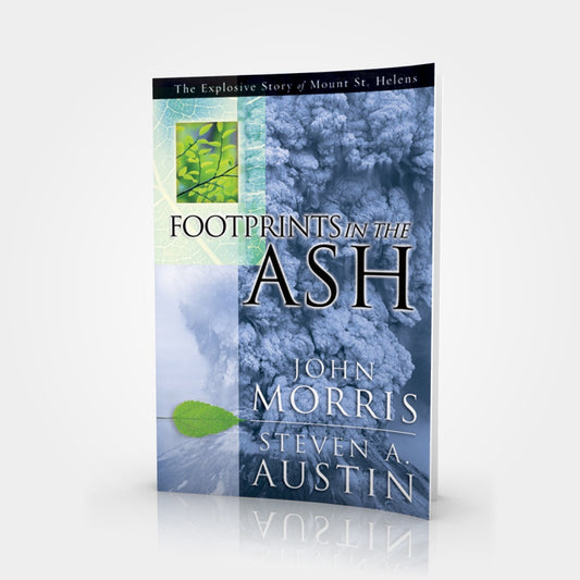 Footprints In the Ash Book
